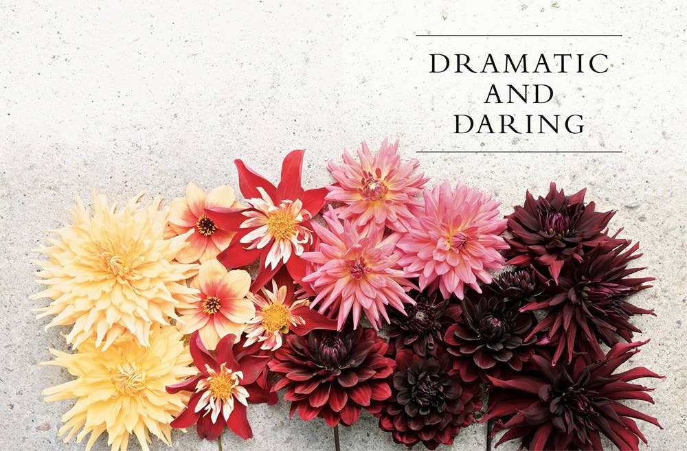 Dahlias; Beautiful Varieties for Home &amp; Garden (hardcover)