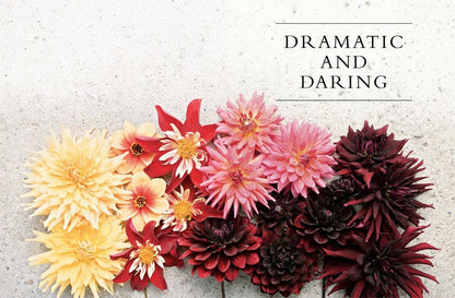 Dahlias; Beautiful Varieties for Home &amp; Garden (hardcover)