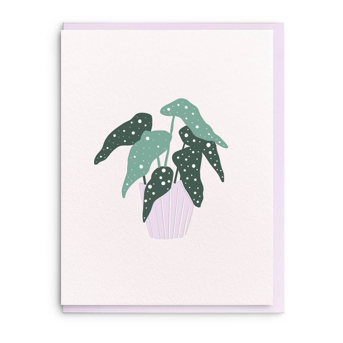 Plant Mini Everyday Card