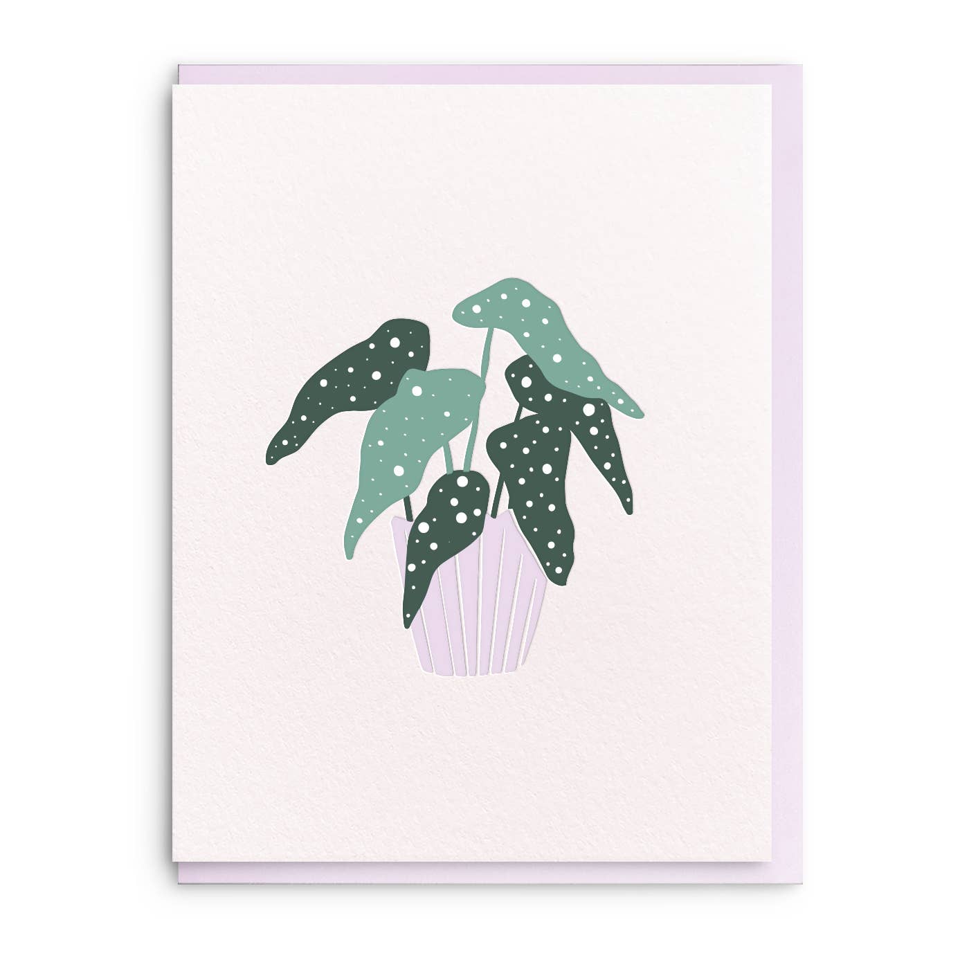 Plant Mini Everyday Card