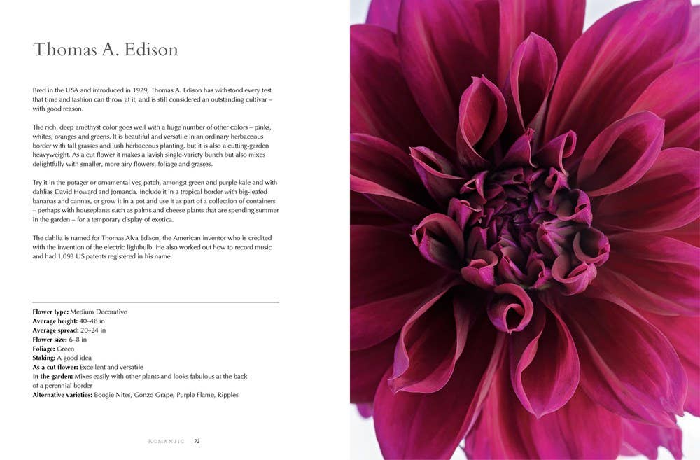 Dahlias; Beautiful Varieties for Home &amp; Garden (hardcover)