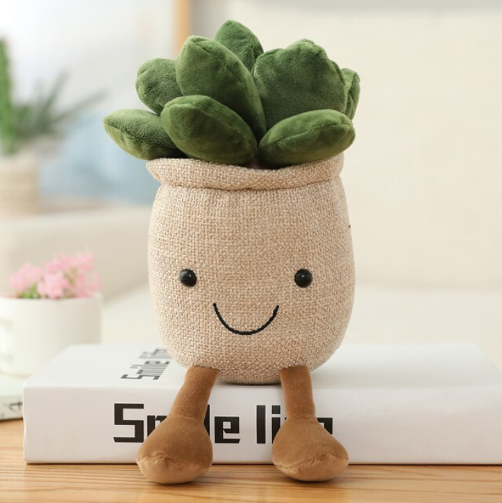 Succulent Plant Friend gift