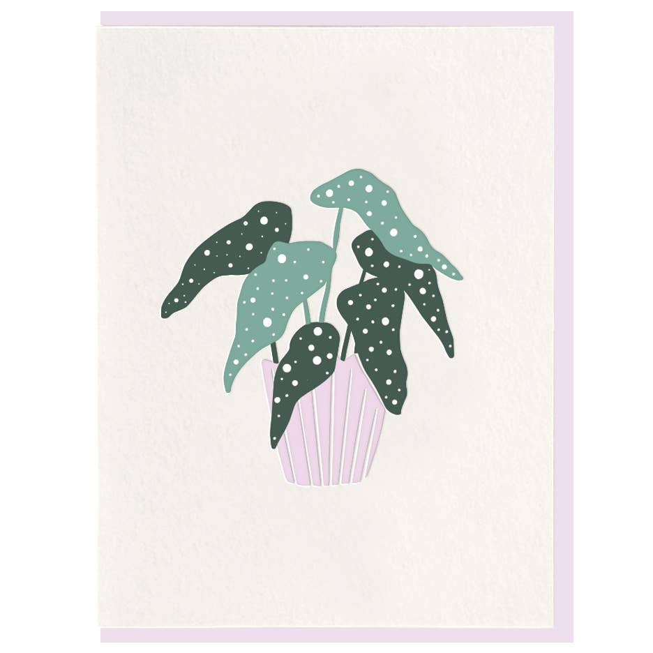 Plant Mini Everyday Card